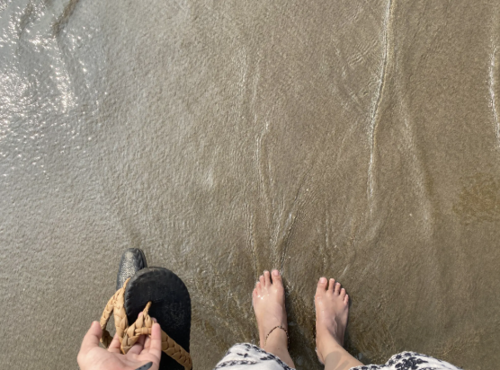 Photo of Different Travel Types: And My Takeaways From Them by Soumya Bhandari